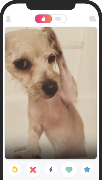 dog phone